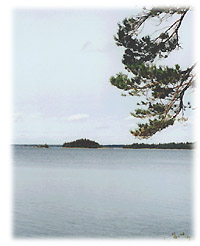 Hyv&auml;t kalavedet