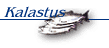 Kalastus